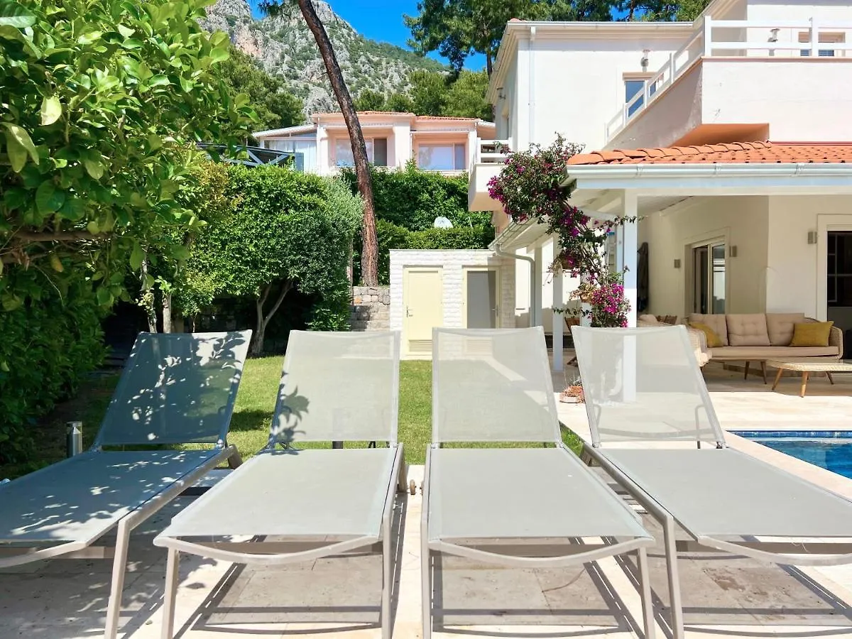 Villa Paradaise Is Magnificent Villa With Sea View And Infinity Pool 戈西克 0*,  土耳其